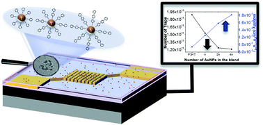 The role of size and coating in Au nanoparticles incorporated into bi ...