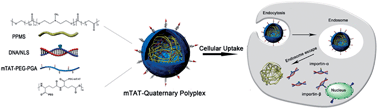 Multifunctional non-viral gene vectors with enhanced stability ...