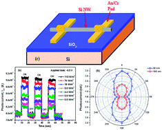 洋書 Nanoscale Silicon Devices Integrated Silicon-Metal Systems at the Nanoscale