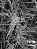 Tungsten oxide nanorod growth by pulsed laser deposition: influence of substrate and process ...