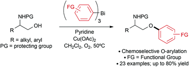 Copper Catalyzed O Arylation Of N Protected 1 2 Aminoalcohols Using Functionalized Trivalent Organobismuth Reagents Organic Biomolecular Chemistry Rsc Publishing
