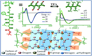 Controlled synthesis of β-sheet polymers based on side-chain ...