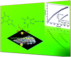 Fabrication of Ni–Fe2O3 magnetic nanorods and application to the ...