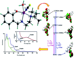 A light harvesting mononuclear manganese(ii) complex: synthesis ...