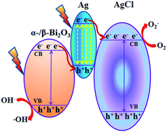 Plasmonic Z Scheme A B Bi2o3 Ag Agcl Photocatalyst With Enhanced Visible Light Photocatalytic Performance Rsc Advances Rsc Publishing