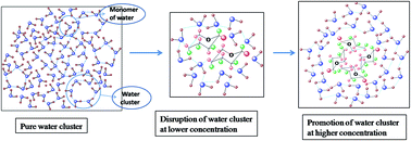 Temperature perturbed water structure modification by d(− ...