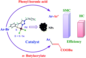 Palladium(ii) complexes bearing the 1,2,3-triazole based organosulfur/  selenium ligand: synthesis, structure and applications in Heck and  Suzuki–Miyaura coupling as a catalyst via palladium nanoparticles - RSC  Advances (RSC Publishing)