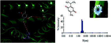 Biophysical investigation of thymoquinone binding to ‘N’ and ‘B ...