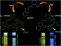 Colorimetric and fluorescence recognition of tryptophan and histidine ...