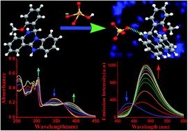 A bio-attuned ratiometric hydrogen sulfate ion selective receptor in ...