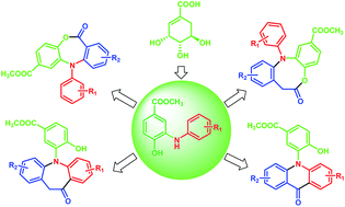 A Biomass Involved Strategy For The Synthesis Of N Arylated Dibenzo B E 1 4 Oxazepin 11 5h Ones Acridones 7 12 Dihydrodibenzo B E 1 4 Oxazocin 6h Ones And Dibenzo B F Azepin 10 11h Ones Rsc Advances Rsc Publishing