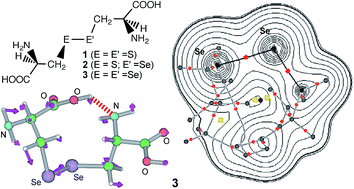 Dynamic And Static Behavior Of The E E Bonds E E S And Se In Cystine And Derivatives Elucidated By Aim Dual Functional Analysis Rsc Advances Rsc Publishing