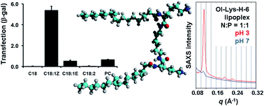 Structure Delivery Relationships Of Lysine Based Gemini Surfactants And Their Lipoplexes Soft Matter Rsc Publishing