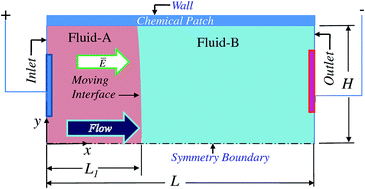 Pulsating electric field modulated contact line dynamics of immiscible ...