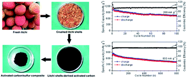 Activated Carbon With Ultrahigh Specific Surface Area Synthesized From Natural Plant Material For Lithium Sulfur Batteries Journal Of Materials Chemistry A Rsc Publishing