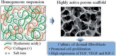 Highly Active Porous Scaffolds Of Collagen And Hyaluronic Acid Prepared By Suppression Of Polyion Complex Formation Journal Of Materials Chemistry B Rsc Publishing