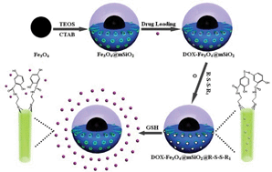 Fe3O4@mSiO2 core–shell nanocomposite capped with disulfide gatekeepers ...