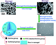 Transition of chemical engineering from macro to micro/nano scales