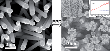 Electrophoretic fabrication of silver nanostructure/zinc oxide nanorod  heterogeneous arrays with excellent SERS performance - Journal of Materials  Chemistry C (RSC Publishing)