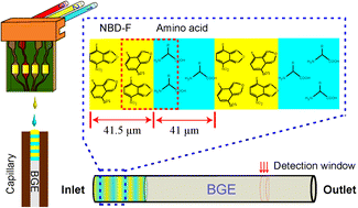 Drop By Drop Chemical Reaction And Sample Introduction For Capillary Electrophoresis Analyst Rsc Publishing