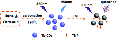 Highly selective detection of 2,4,6-trinitrophenol by using newly ...