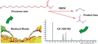 Quantification of FAMEs in biodiesel blends of various sources by gas ...