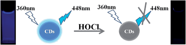N-doped carbon dots with high sensitivity and selectivity for ...