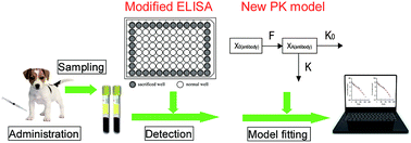 An Enzyme Linked Immunosorbent Assay With A New Way To Control The Edge Effect And Its Application For Bevacizumab Pharmacokinetic Studies In Beagle Dogs By Fitting With A New Pharmacokinetic Model Analytical