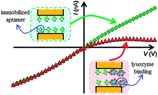 Bioconjugation-induced ionic current rectification in aptamer-modified ...