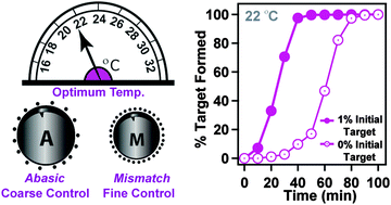 Achieving Room Temperature Dna Amplification By Dialling In