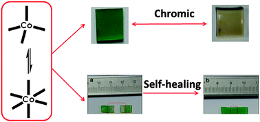 A self-healing PDMS polymer with solvatochromic properties - Chemical