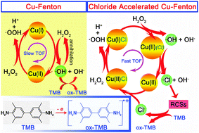 Chloride Accelerated Fenton Chemistry For The Ultrasensitive And Selective Colorimetric Detection Of Copper Chemical Communications Rsc Publishing