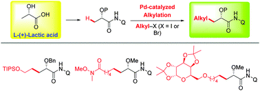 Hydroxy Acids - an overview - ScienceDirect Topics