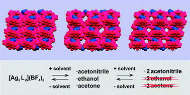 Solvent Diffusion Through A Non Porous Crystal Caught In The Act And Related Single Crystal To Single Crystal Transformations In A Cationic Dinuclear Ag I Complex Crystengcomm Rsc Publishing