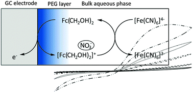 Amplified Electron Transfer At Poly Ethylene Glycol Peg Grafted Electrodes Physical Chemistry Chemical Physics Rsc Publishing