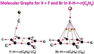 Dynamic And Static Behavior Of Hydrogen Bonds Of The X H P Type X F Cl Br I Ro And Rr N R R H Or Me In The Benzene P System Elucidated By