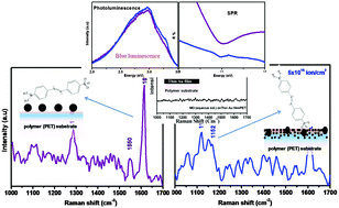 Optical and surface enhanced Raman scattering properties of Au  nanoparticles embedded in and located on a carbonaceous matrix - Physical  Chemistry Chemical Physics (RSC Publishing)