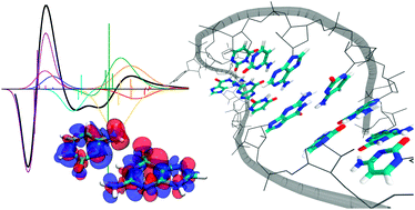 A fast but accurate excitonic simulation of the electronic circular ...