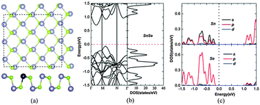 Electronic and magnetic properties of SnSe monolayers doped by Ga, In ...
