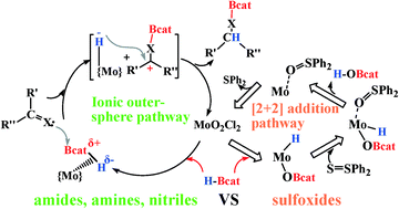 Does a multiply bonded oxo ligand directly participate in B–H bond  activation by a high-valent di-oxo-molybdenum(vi) complex? A density  functional theory study - Catalysis Science & Technology (RSC Publishing)