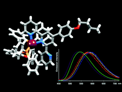 [Cu(N^N)(P^P)]+ complexes with 2,2′:6′,2′′-terpyridine ligands as the N ...