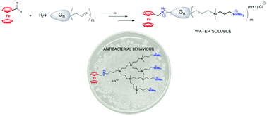 Synthesis Characterization And Antibacterial Behavior Of Water Soluble Carbosilane Dendrons Containing Ferrocene At The Focal Point Dalton Transactions Rsc Publishing