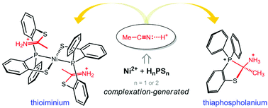 Thioiminium And Thiaphospholanium Derived From Acetonitrile Via Nickel Ii 2 Mercaptophenyl Phosphine Complexation Dalton Transactions Rsc Publishing