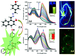 Dual mode ratiometric recognition of zinc acetate: nanomolar detection ...