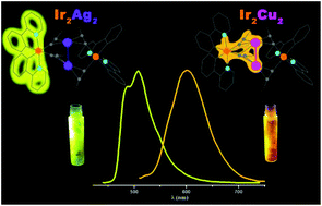 Alkynyl bridged cyclometalated Ir2M2 clusters: impact of the ...