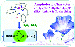 An Amphoteric Reactivity Of A Mixed Valent Bis M Oxo Dimanganese Iii Iv Complex Acting As An Electrophile And A Nucleophile Dalton Transactions Rsc Publishing
