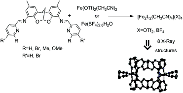 Novel Iminopyridine Derivatives Ligands For Preparation Of Fe Ii And Cu Ii Dinuclear Complexes Dalton Transactions Rsc Publishing