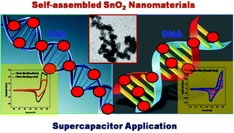 Synthesis and characterization of DNA fenced, self-assembled SnO2 nano ...