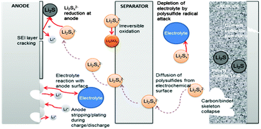 Lithium sulfur batteries, a mechanistic review - Energy & Environmental  Science (RSC Publishing)