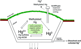 Biogeochemical Transformations Of Mercury In Solid Waste Landfills And Pathways For Release Environmental Science Processes Impacts Rsc Publishing